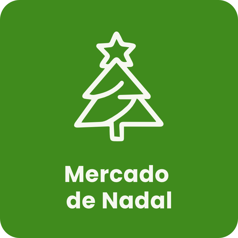 Mercado de Nadal de Begonte