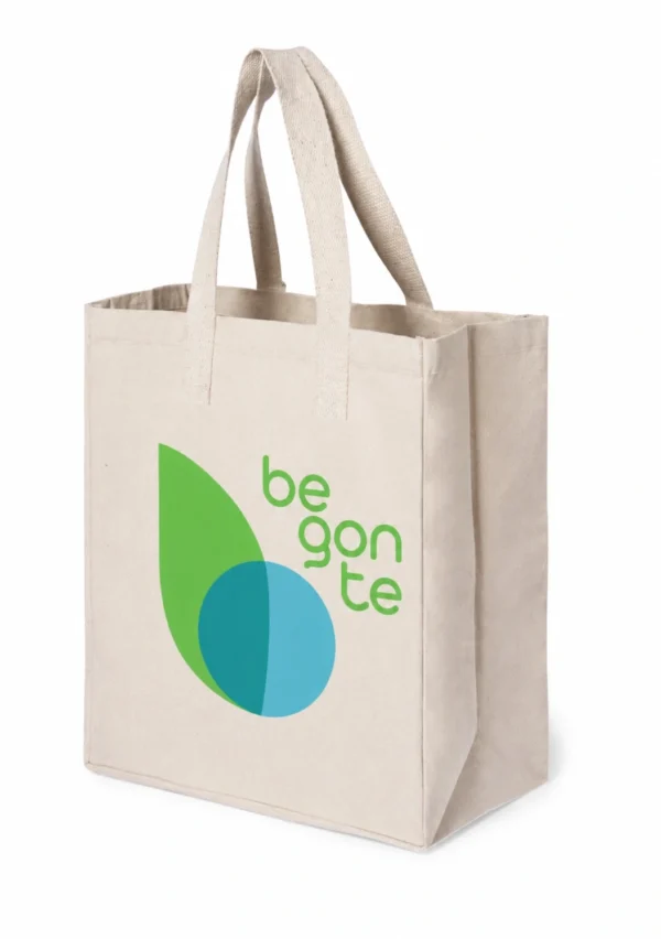 BOLSA BEGONTE